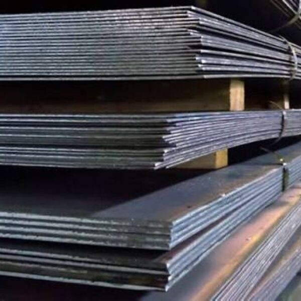 WhatsApp Image 2026-03-20 at 13.07.58