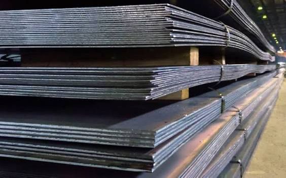 WhatsApp Image 2026-03-20 at 13.07.58