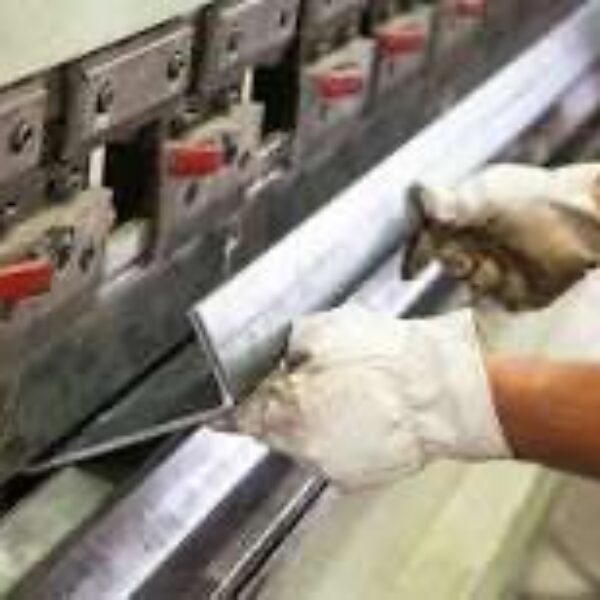 WhatsApp Image 2026-03-20 at 13.08.03