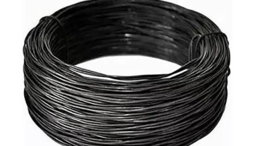 WhatsApp Image 2026-03-20 at 13.08.07 (1)